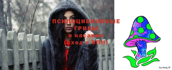 таблы Бронницы