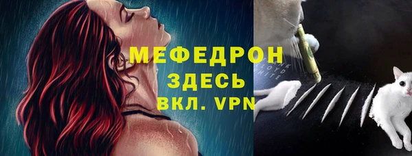 сатива Бородино