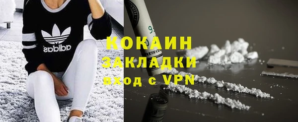 сатива Бородино