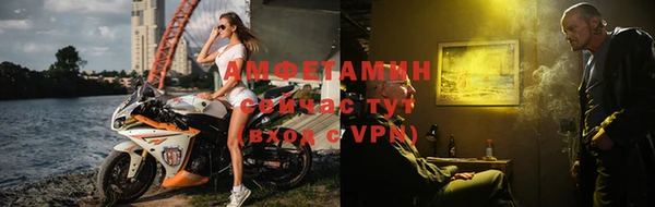 сатива Бородино