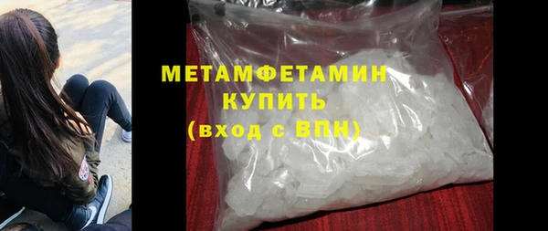 сатива Бородино