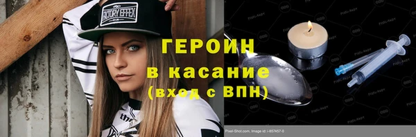 сатива Бородино