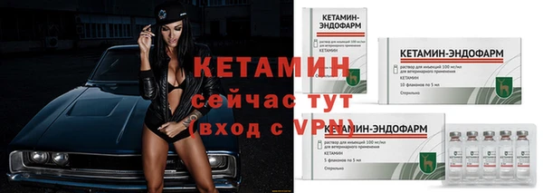 сатива Бородино