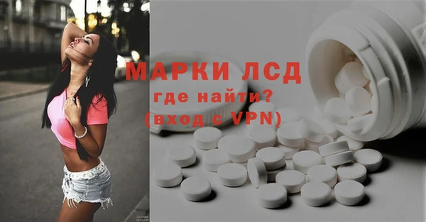 сатива Бородино