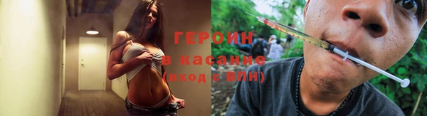 сатива Бородино