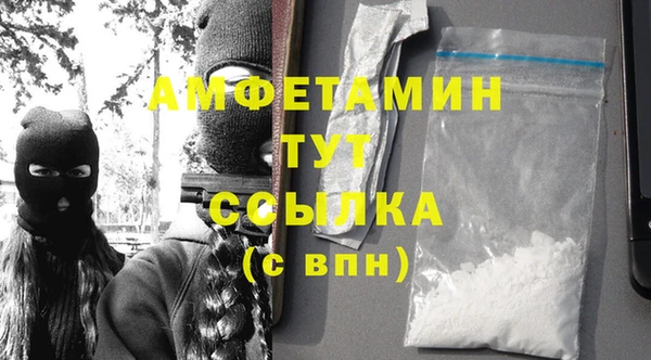 сатива Бородино