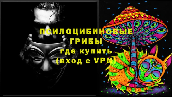 сатива Бородино