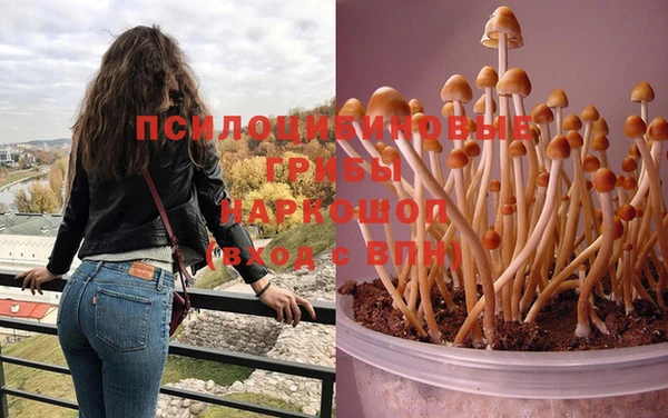 таблы Бронницы