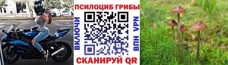 Галлюциногенные грибы ЛСД  Верхний Тагил 